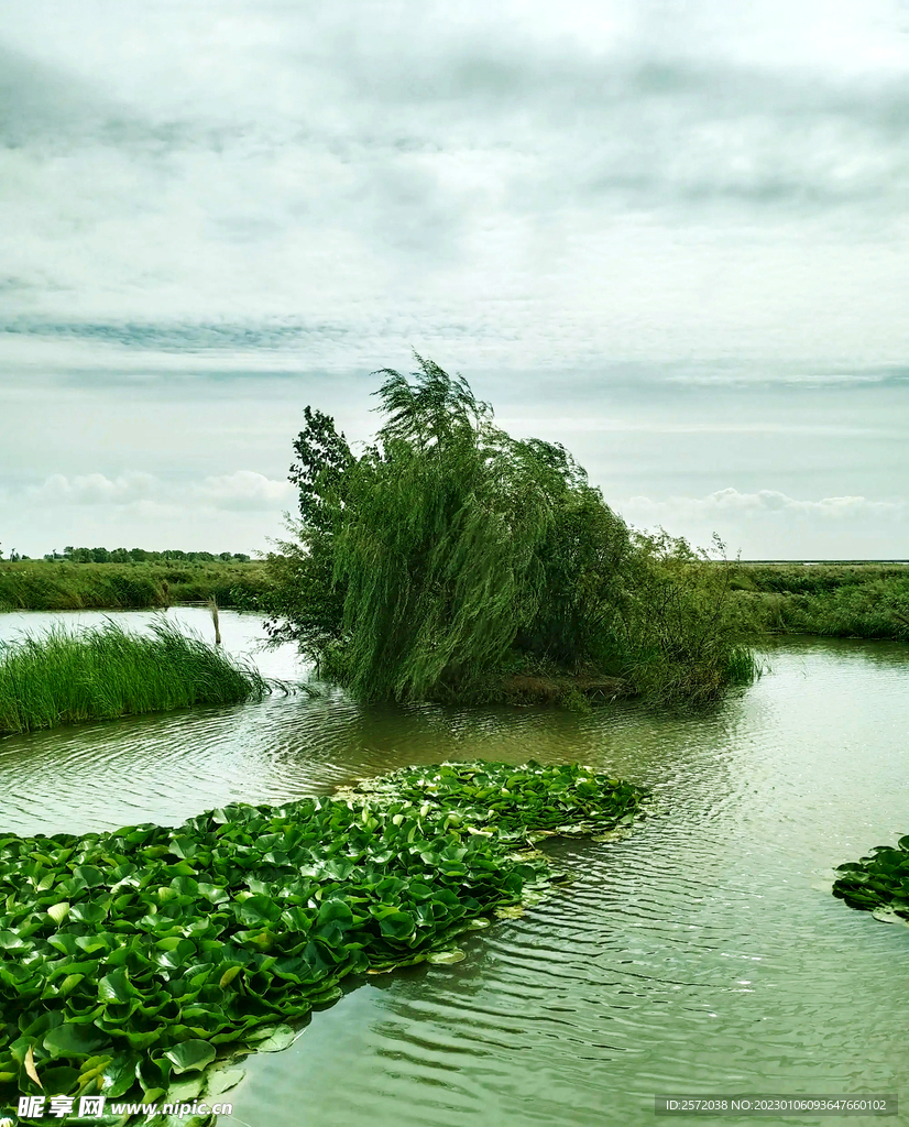 黑龙江大庆鹤鸣湖湿地