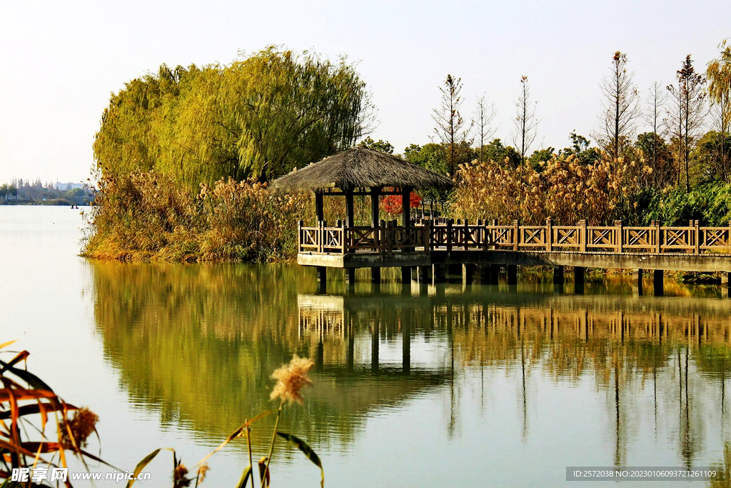 上海青浦大莲湖湿地