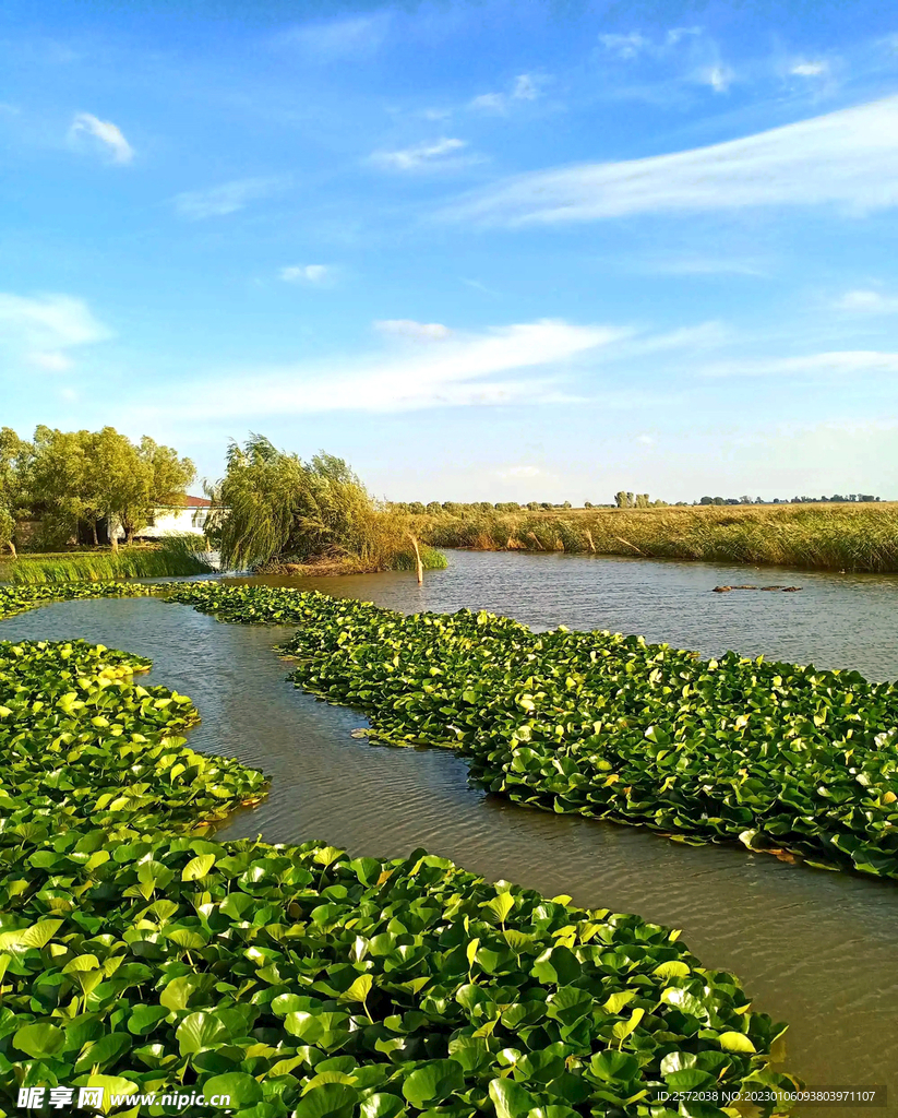 黑龙江大庆鹤鸣湖湿地