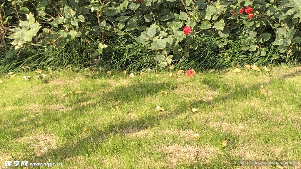 场景素材 