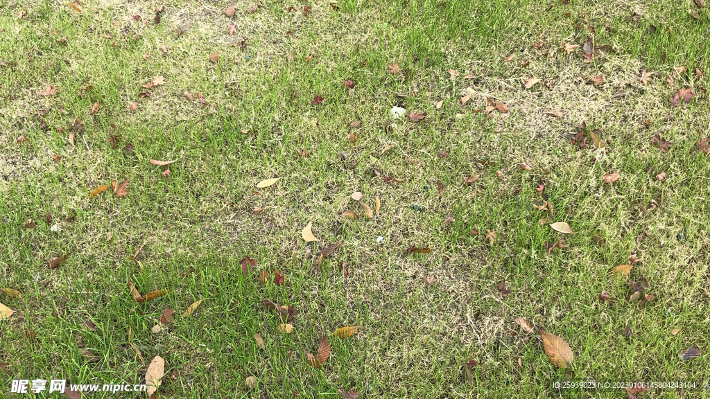 场景素材
