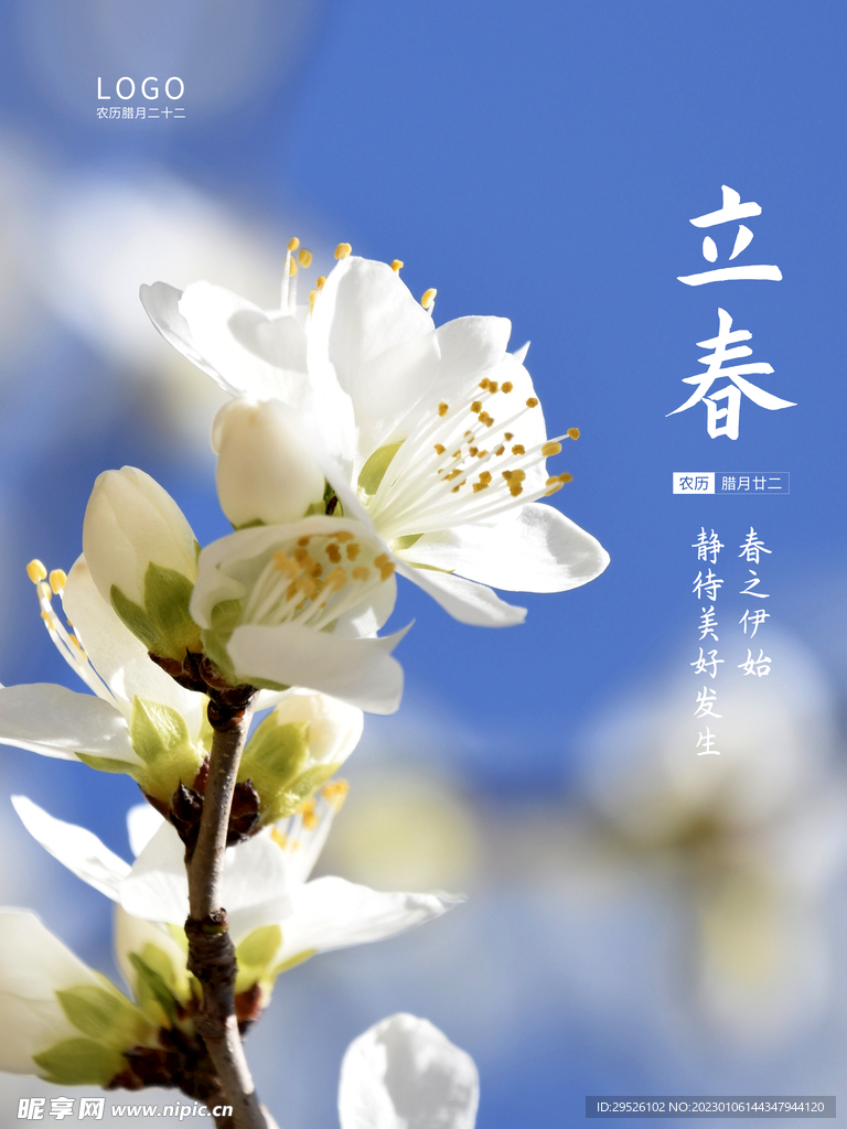 24节气 立春