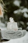 雪地