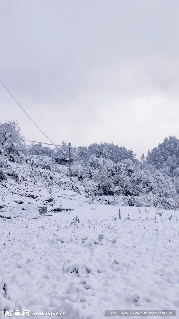 雪地