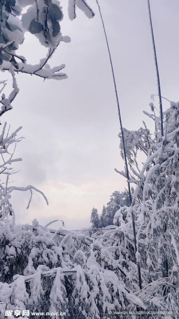 雪景