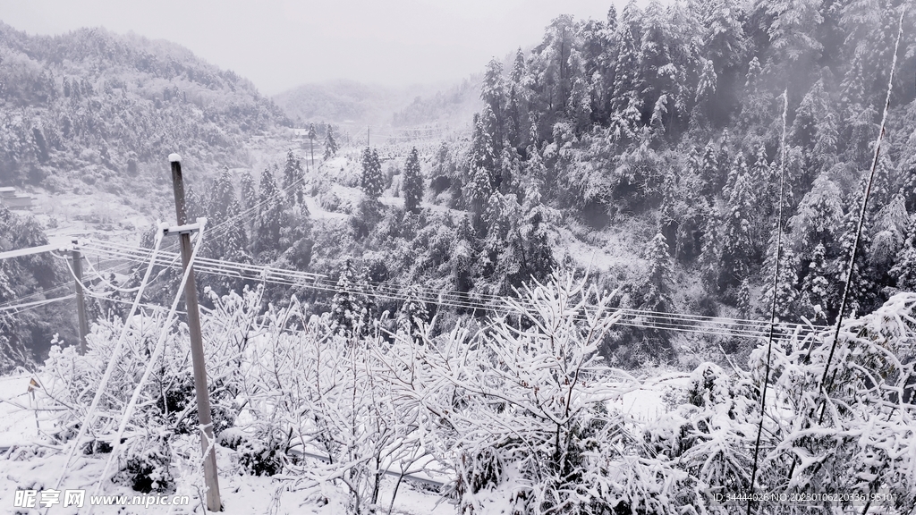 雪景