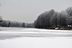 冬天树林湖泊