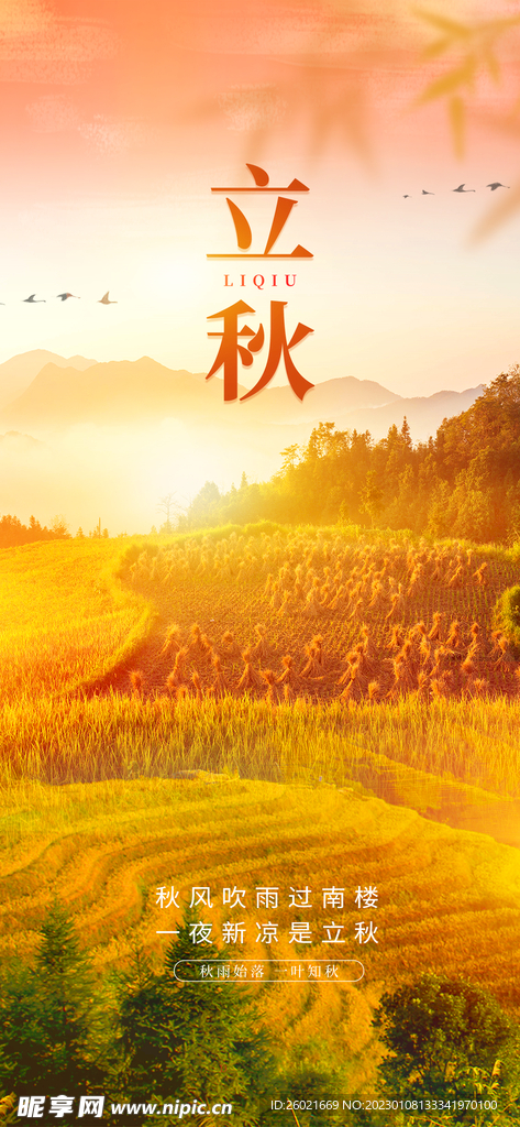 立秋展架