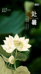 处暑