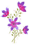 花