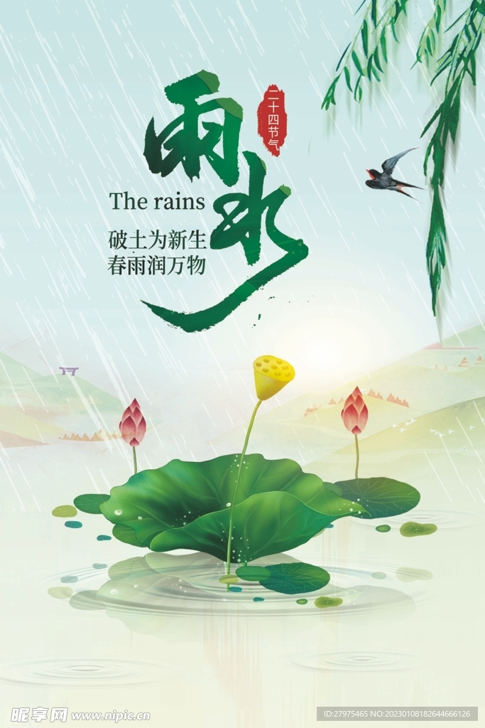 雨水
