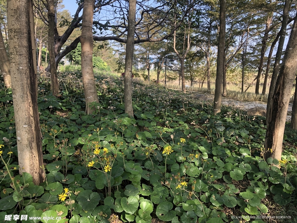 福州风景