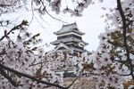 城堡