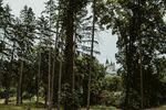城堡
