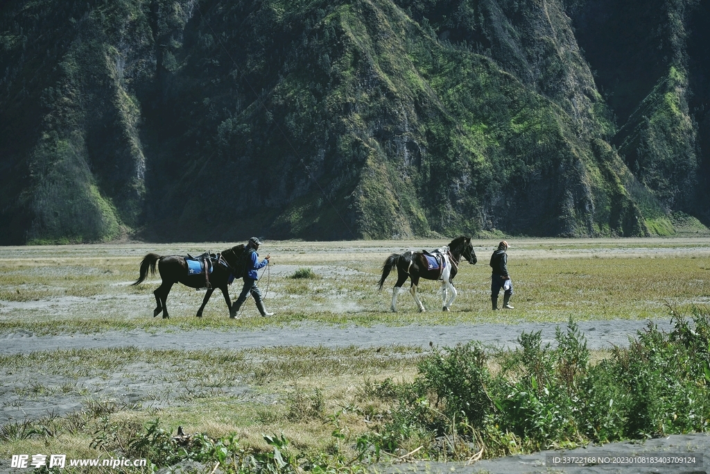 马