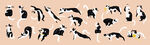 卡通猫