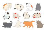猫