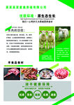 湖羊  功效