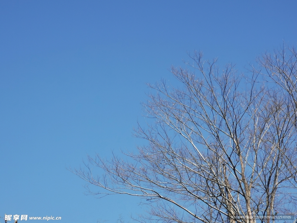天空