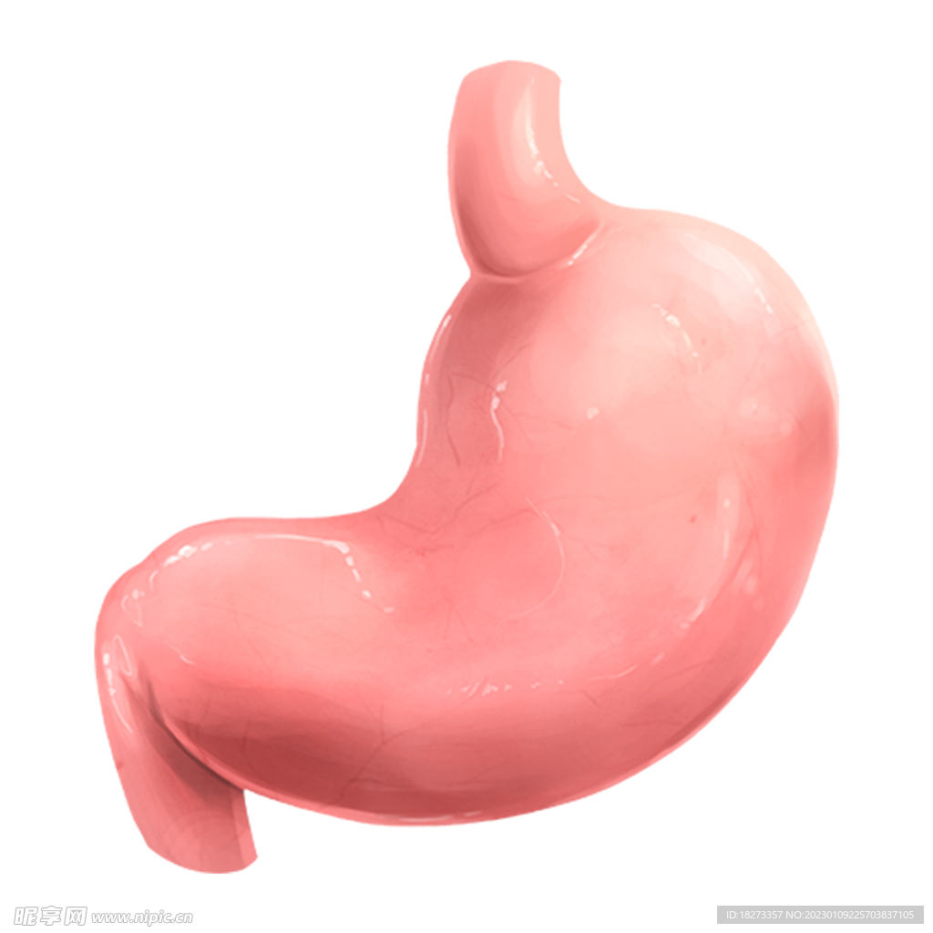胃