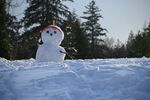 雪地景色