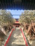 台阶