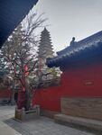 普救寺