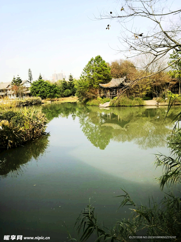 浙江温州三垟湿地公园