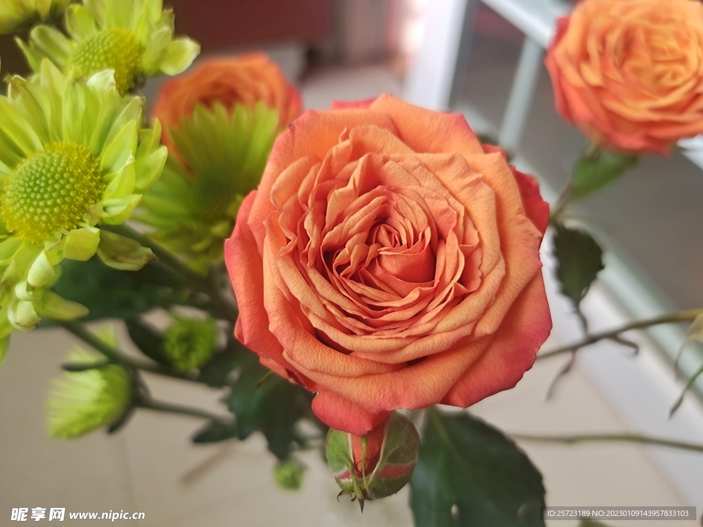 花