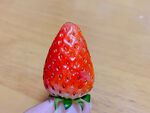 小草莓