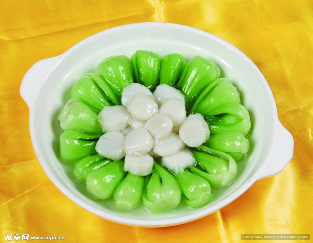 鲜贝扒油菜