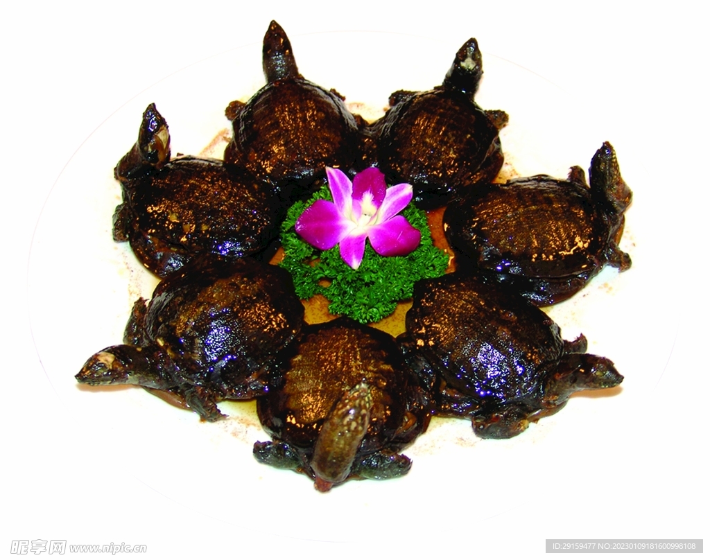 药膳小甲鱼