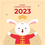 2023新年海报 卡通兔子动画