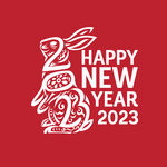 2023新年海报 卡通兔子
