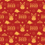 2023新年海报 卡通兔子背景