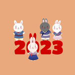 2023新年海报 卡通兔子