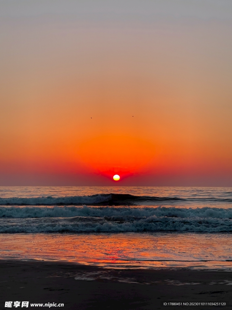 大海