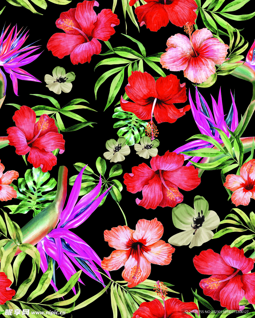 扶桑花