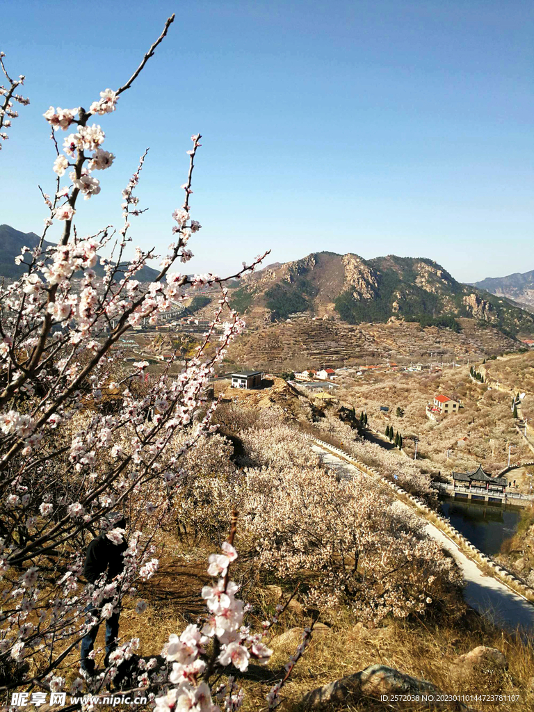 青岛崂山樱桃谷