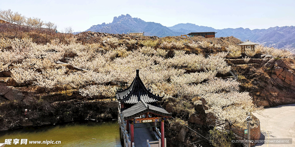 青岛崂山樱桃谷