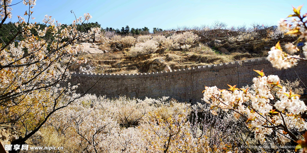 青岛崂山樱桃谷