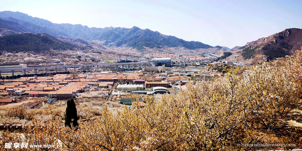 青岛崂山樱桃谷