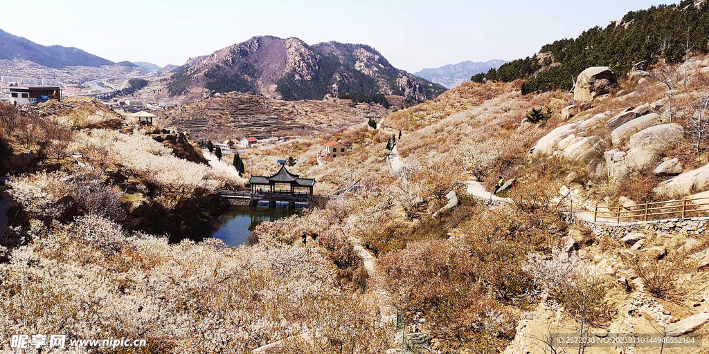 青岛崂山樱桃谷