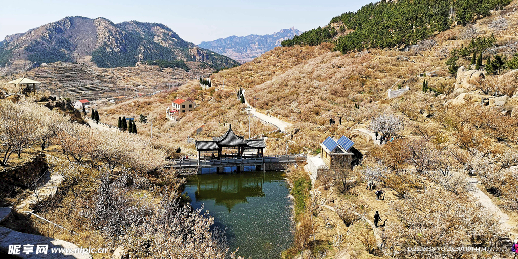 青岛崂山樱桃谷