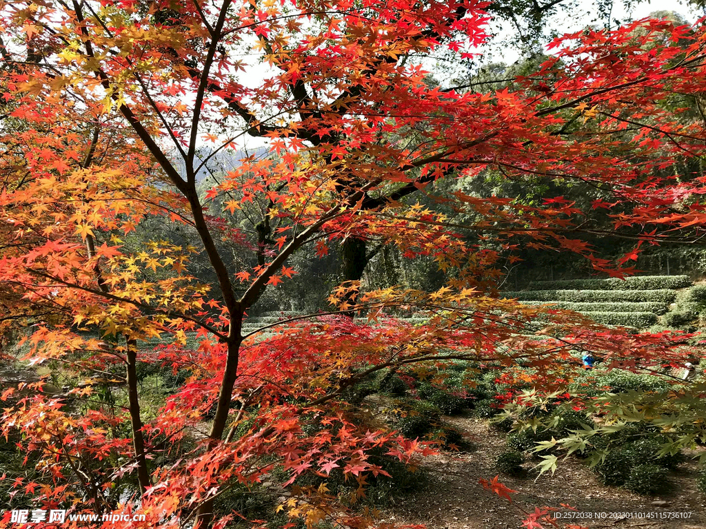 济南九如山瀑布群景区