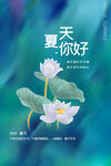 夏天你好