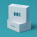 3D包装盒子样机