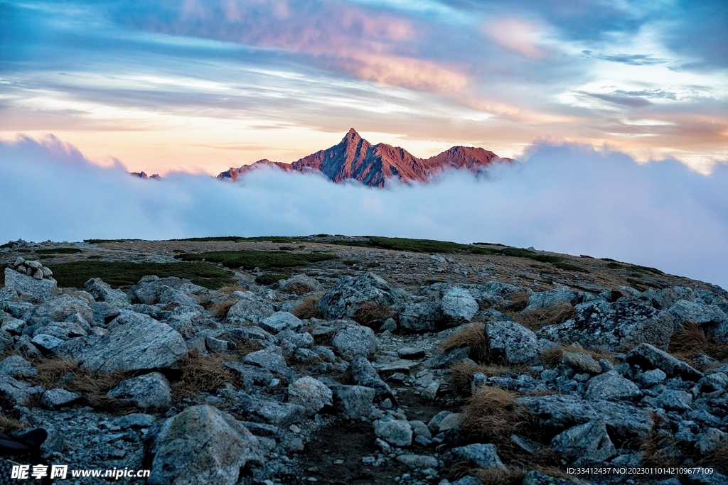 山