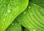 水滴