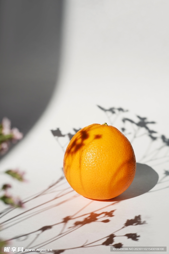 橙子